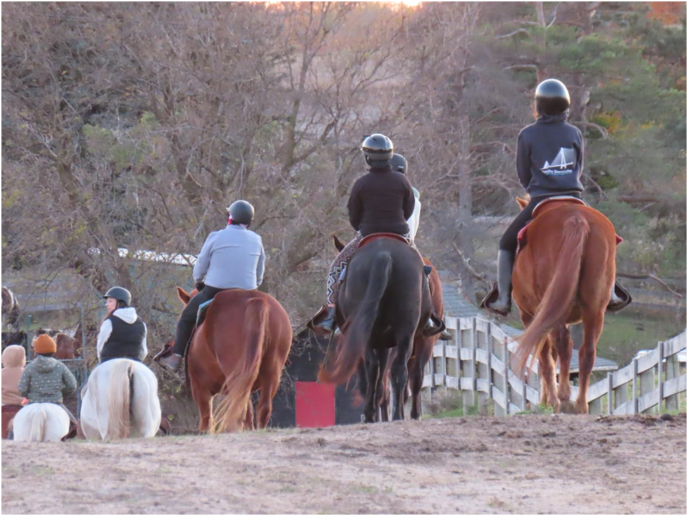 Overcoming Fear: Building Confidence in Horseback Trail Riding 