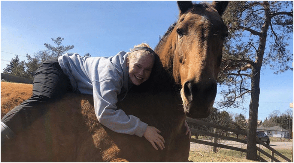 Safety First: Essential Precautions and Equipment for Horseback Riding Lessons