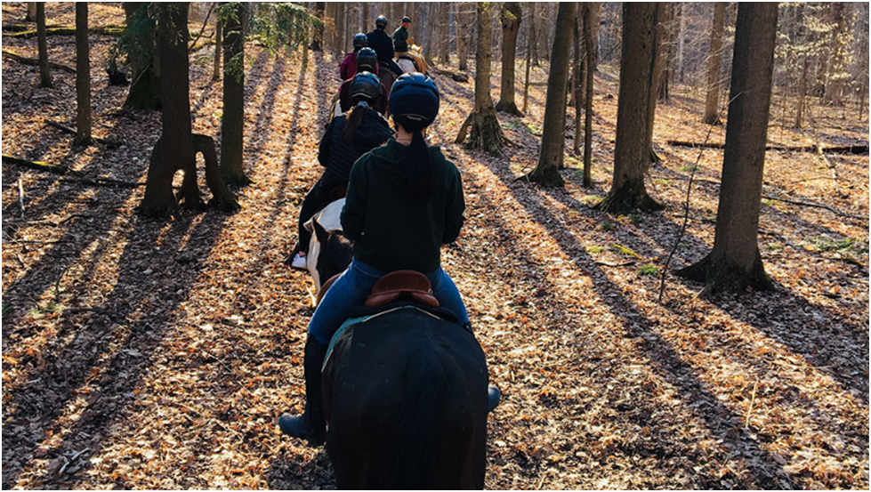 The Best Seasons for Horseback Trail Riding and Why
