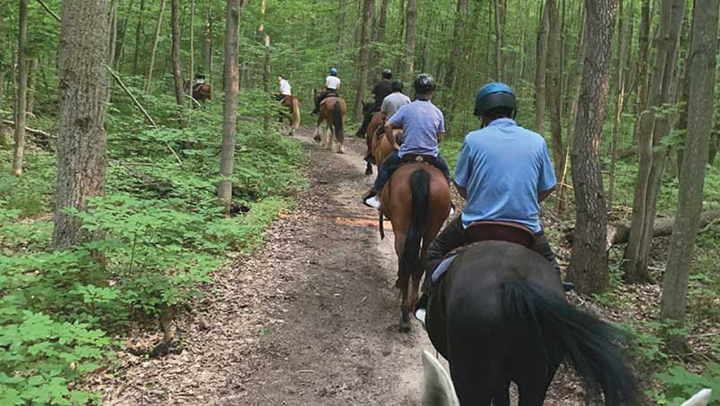 Why Adults Shouldn’t Be Afraid to Start Horseback Riding Lessons