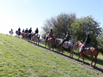 Group rides Horseback Trail Ride