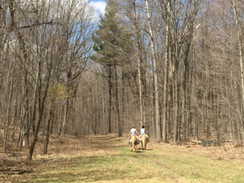 Autumn ride Horseback Trail Ride