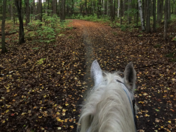 Fall in love on horseback Horseback Trail Ride