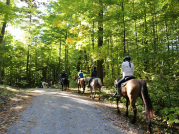 Great outdoor activity Horseback Trail Ride