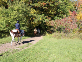 Trail entrance Horseback Trail Ride