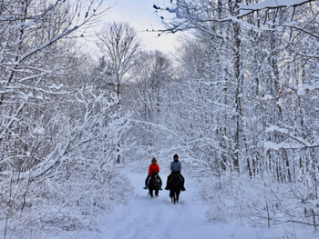 Winter ride Horseback Trail Ride